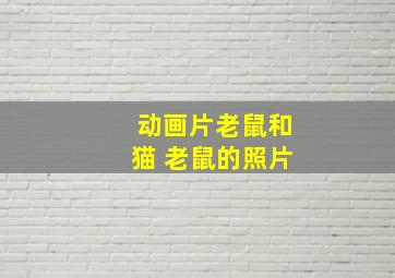 动画片老鼠和猫 老鼠的照片